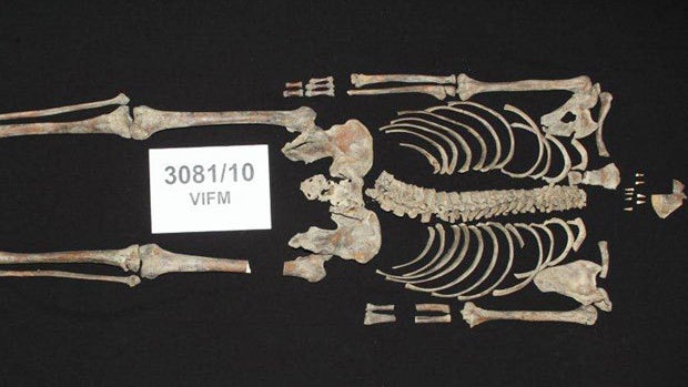 Bones of Australian bandit Ned Kelly identified&acirc; 