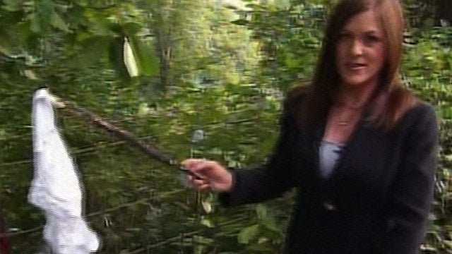 Mystery surrounds 1000s of discarded panties 