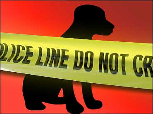 generic police tape crime scene puppy puppies dog 