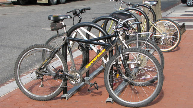 bicycles.jpg 
