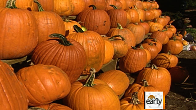 es_0920_PUMPKINS.jpg 