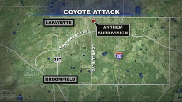 Coyote Map 