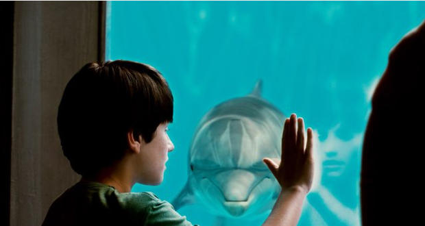 Still of Nathan Gamble in "Dolphin Tale." 