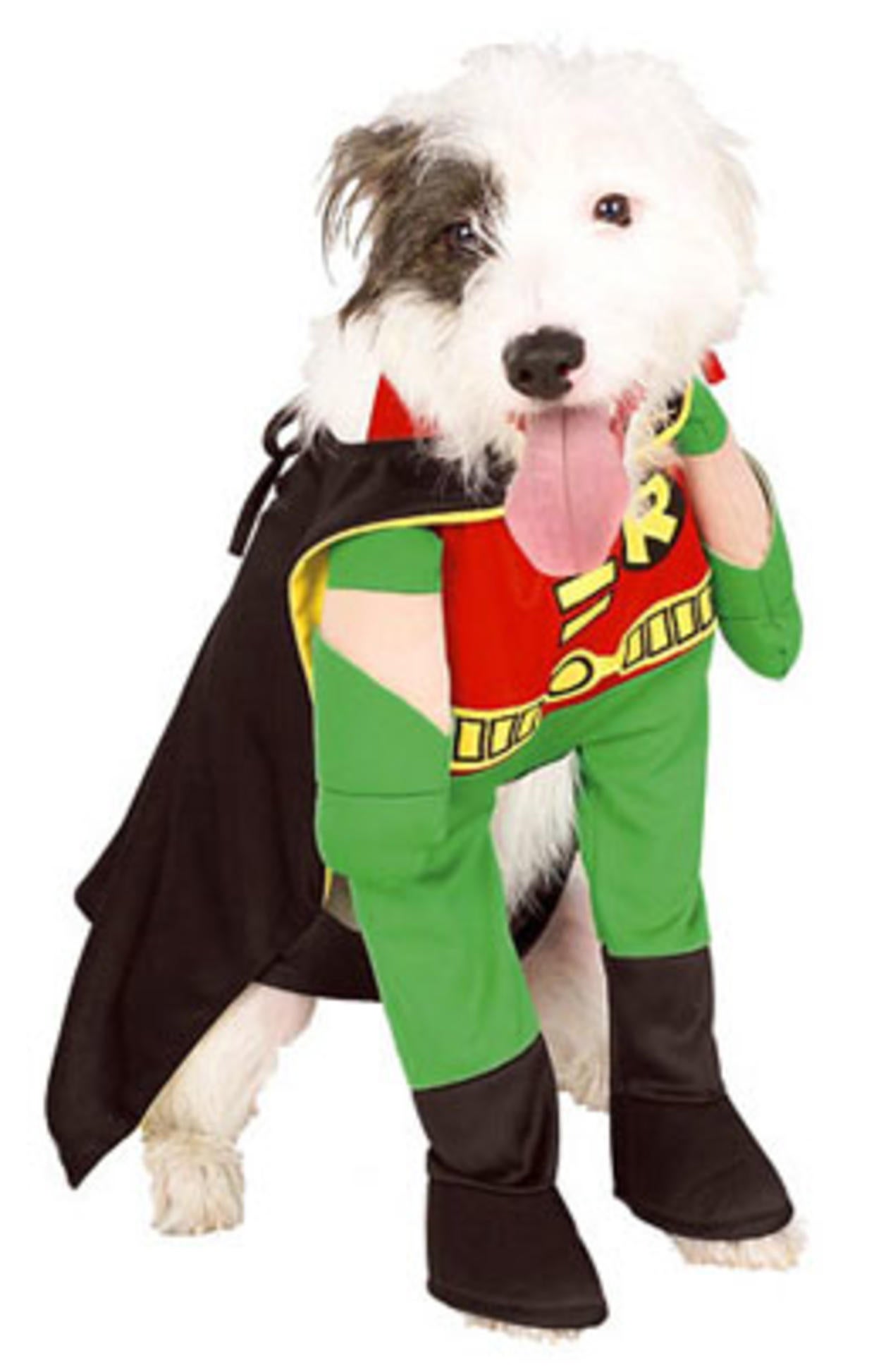 Dogs in geeky costumes