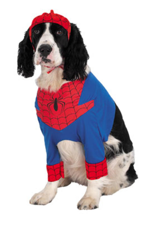 Dogs in geeky costumes 