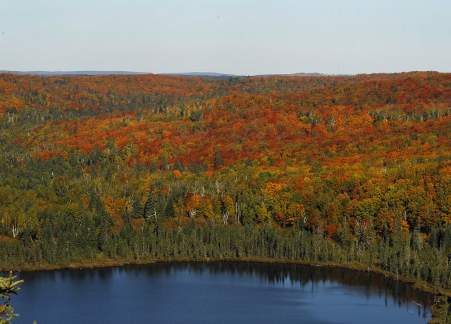 Fall_Foliage_AP110926136364.jpg 