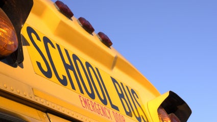 iStock_000000172951XSmall.jpg 