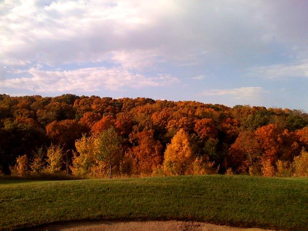 fall-colors-zimmerman.jpg 