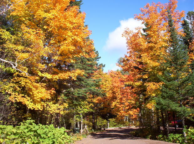 fall-colors-lutsen.jpg 