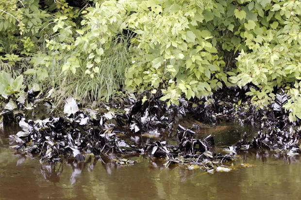 Workers Clean Up And Try To Contain Oil Spill In Michigan 