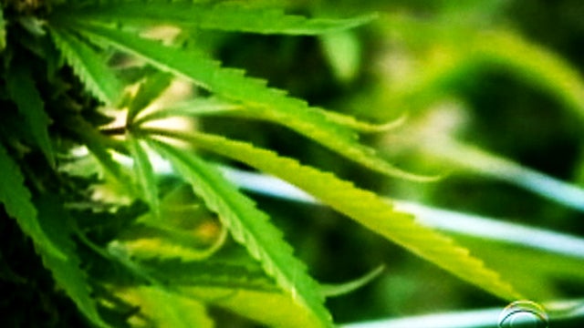 Evening News Online, 10.09.11 