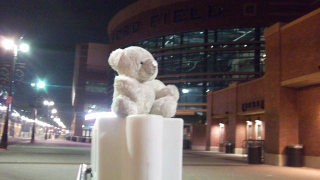 stuffed-bear-at-ford-field-101111-001.jpg 