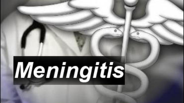 meningitis-copy.jpg 