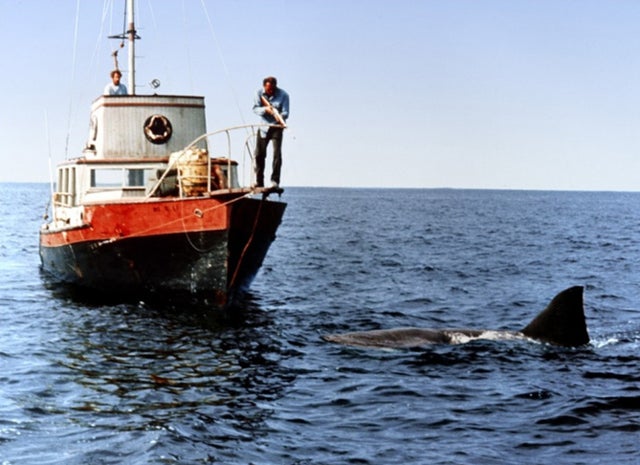 JW_jaws_pic.jpg 