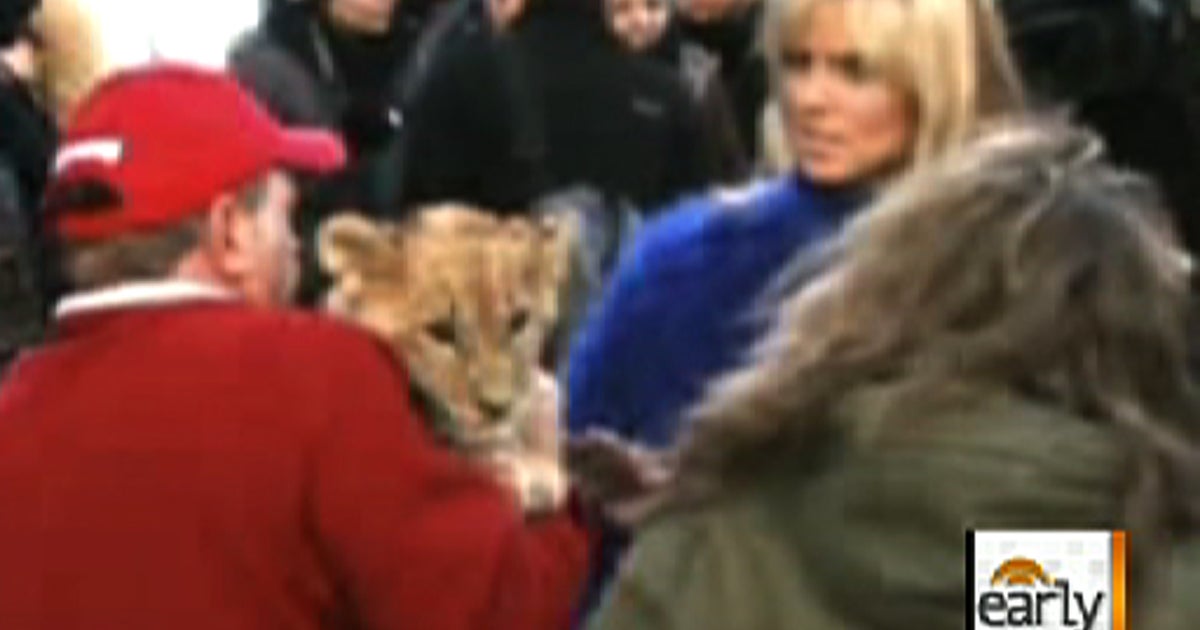 Heidi Klum worked once with wild animal owner
