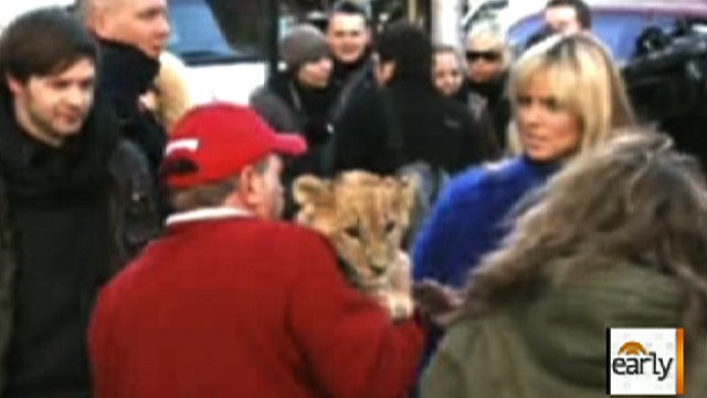 Terry Thompson, owner of exotic animals farm in Zanesville, Ohio who killed himself after releasing dozens of the beasts, once provided a big cat for a photo shoot with supermodel Heidi Klum. 