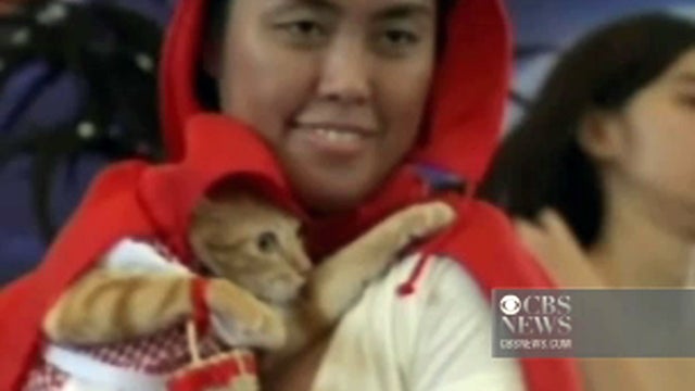 Halloween Pet Show in the Philippines 