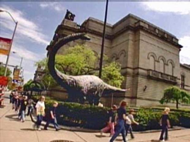 Carnegie Museum of Natural History Dinosaur 