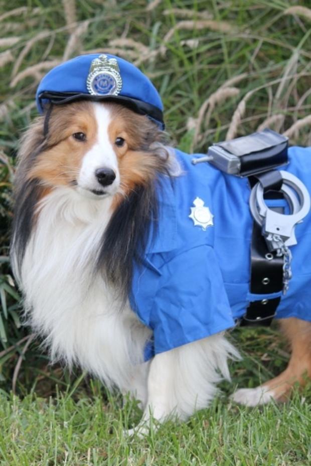 dog-officer-roxanne.jpg 