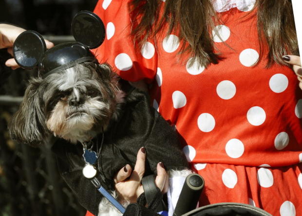 Casey as Minnie Mouse during the Tompkin 