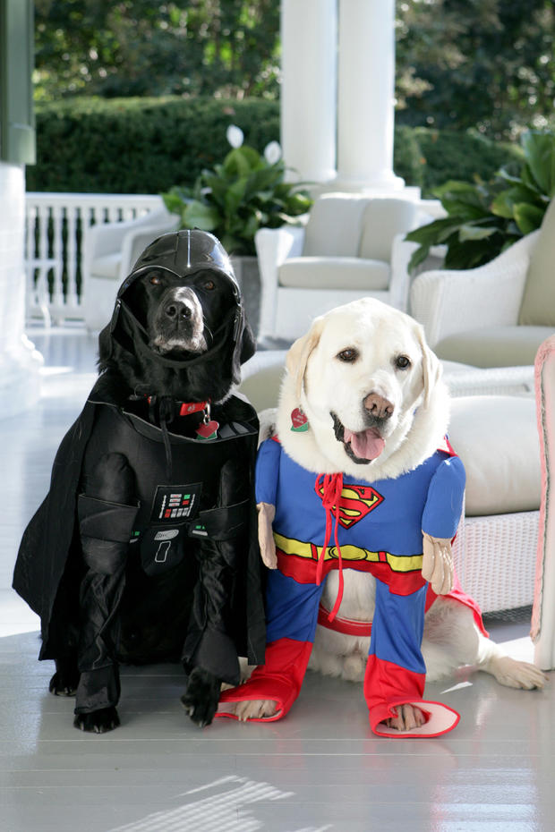 White House Pets Celebrate Halloween 