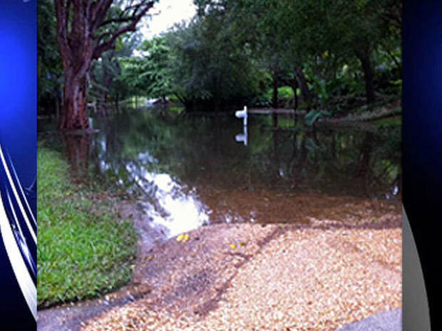 flooding-viewer-pic-3jpg.jpg 