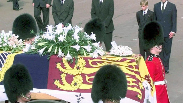 51425041.jpg 