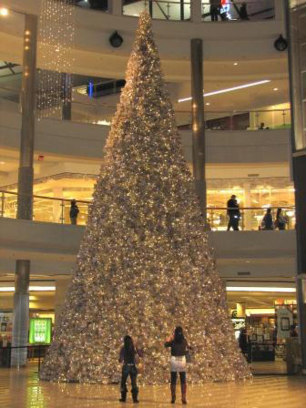Mall Of America Tree 