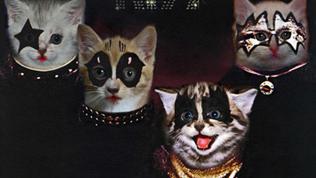 The Kitten Covers: Albums re-imagined with cats! 