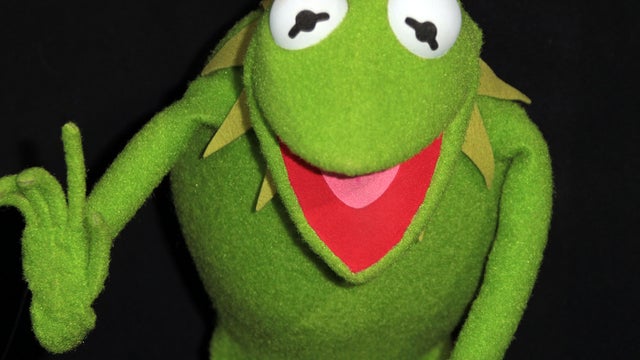 The Muppets hit the red carpet 