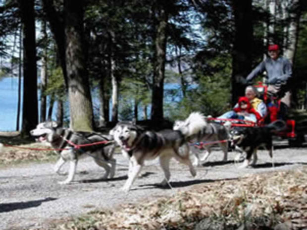 1/14/12 - Travel &amp; Outdoors – Best Cold Weather Fun in Maryland - Dog Sledding in Mountain Maryland 