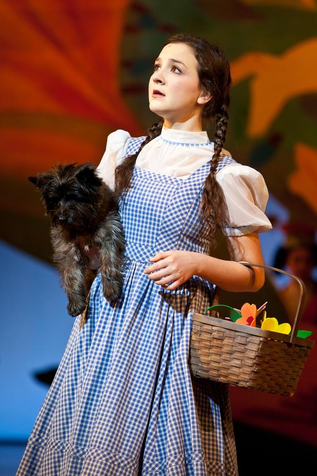 Dorothy And Toto 