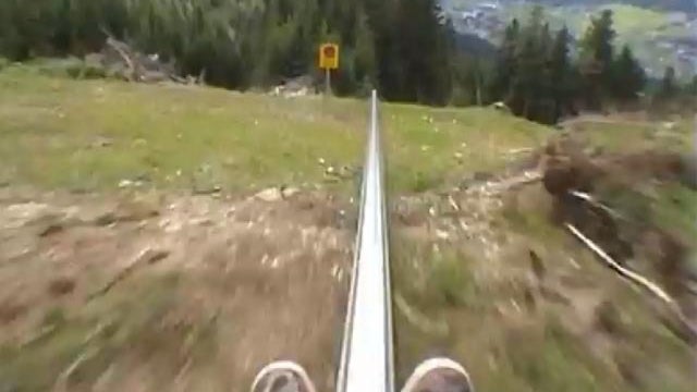 alpine coaster 