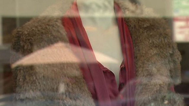 fur-ban_story.jpg 