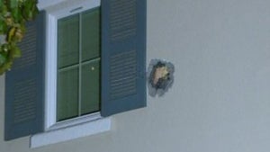 cannonball-kpix.jpg 