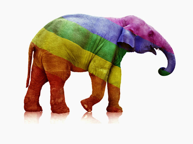 Gay Rights GOP Elephant 