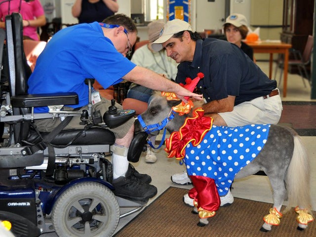 Therapy animals Doggie docs, horse helpers, and more