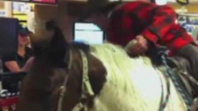 manonahorse-CBS-DENVER.jpg 