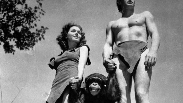 File photo shows Johnny Weissmuller as Tarzan, Maureen O'Sullivan as Jane, and Cheetah the chimpanzee, in scene from 1932 movie "Tarzan the Ape Man" 