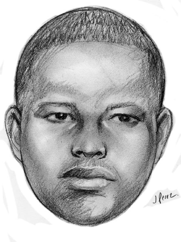 This sketch released by the New York Police Department shows a suspect wanted in a string of arson attacks on Sunday, Jan. 1, 2012 that involved throwing lit Molotov cocktails at four locations within the 103 precinct in the Queens borough of New York. 
