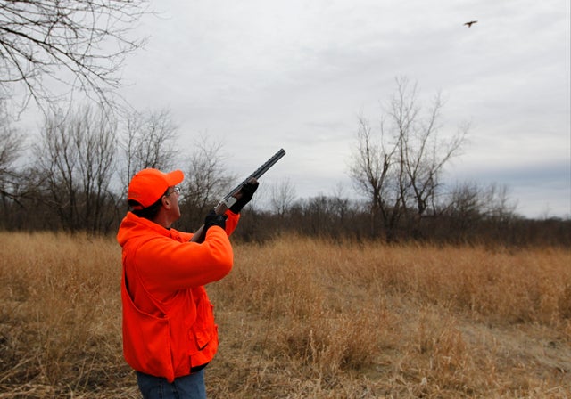 santorum-pheasant-AP111226017049.JPG 