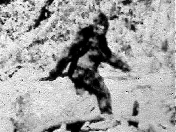 Bigfoot 