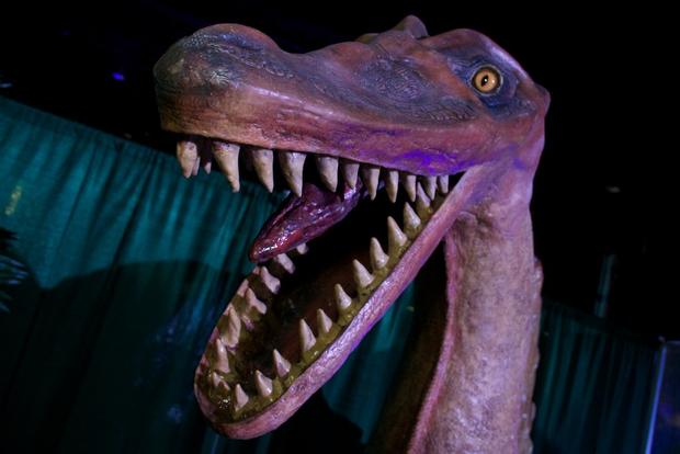 discover-the-dinosaurs-8.jpg 