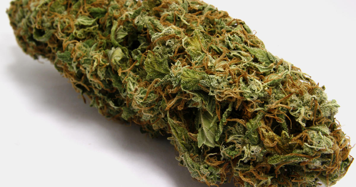 Survey: 76 percent of doctors approve of medical marijuana use - CBS News