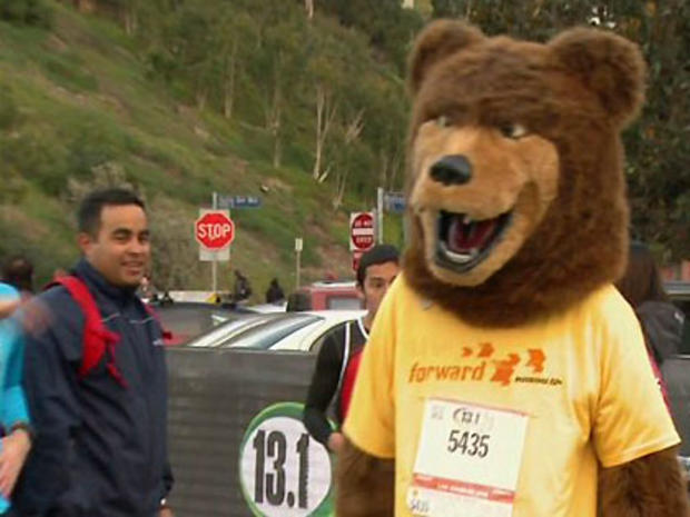 Marathon Bear 