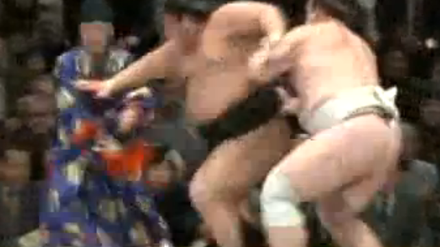 sumo_referee.png 