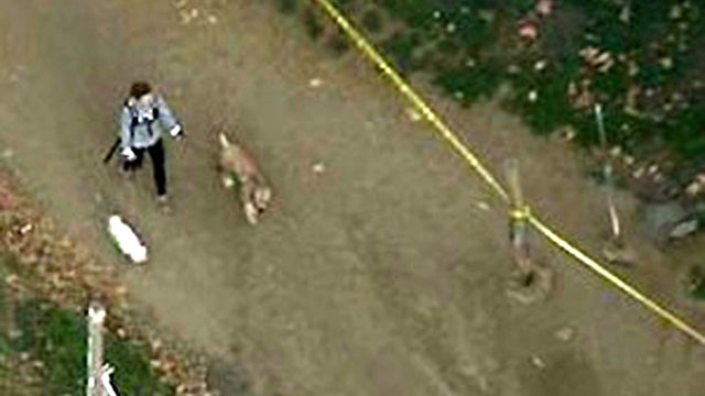 A dog walker is seen in the Hollywood Hills area of Los Angeles Jan. 17, 2012, after police responded to a report that a human head was discovered nearby. 