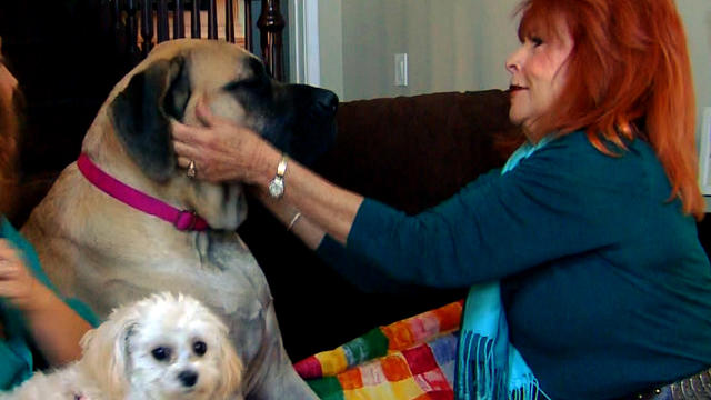 In Lake County, Calif., Norma Wolf encourages the sort of surrogate grandmother role with her daughter's two dogs.  