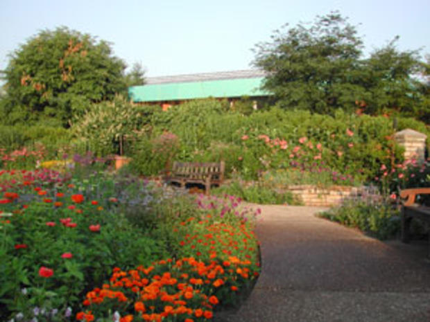 matthaei botanical gardens 