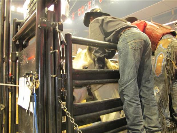 worlds-toughest-rodeo-2012-091.jpg 
